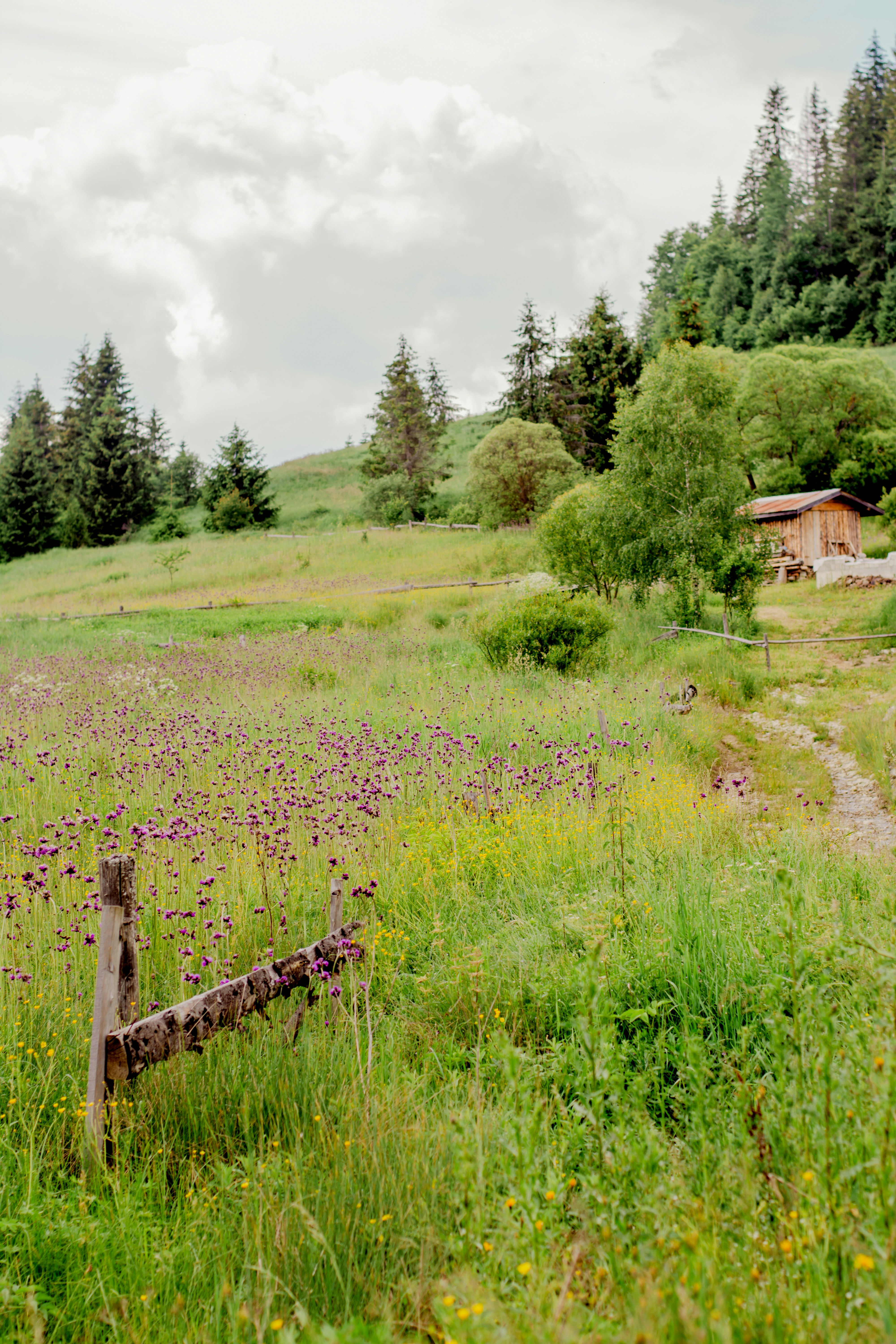 Photo by eugenivy_now