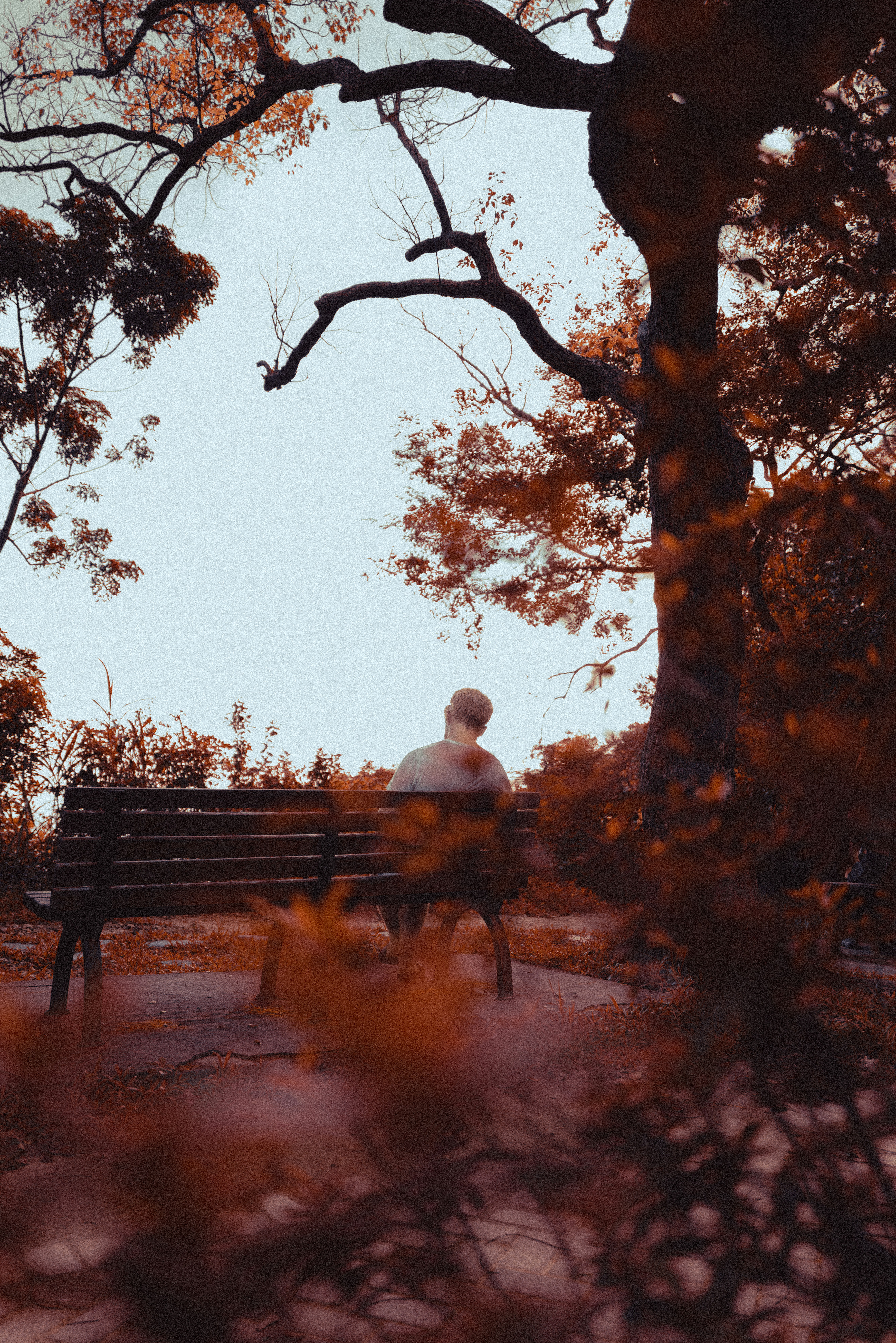 Photo by byjustintan