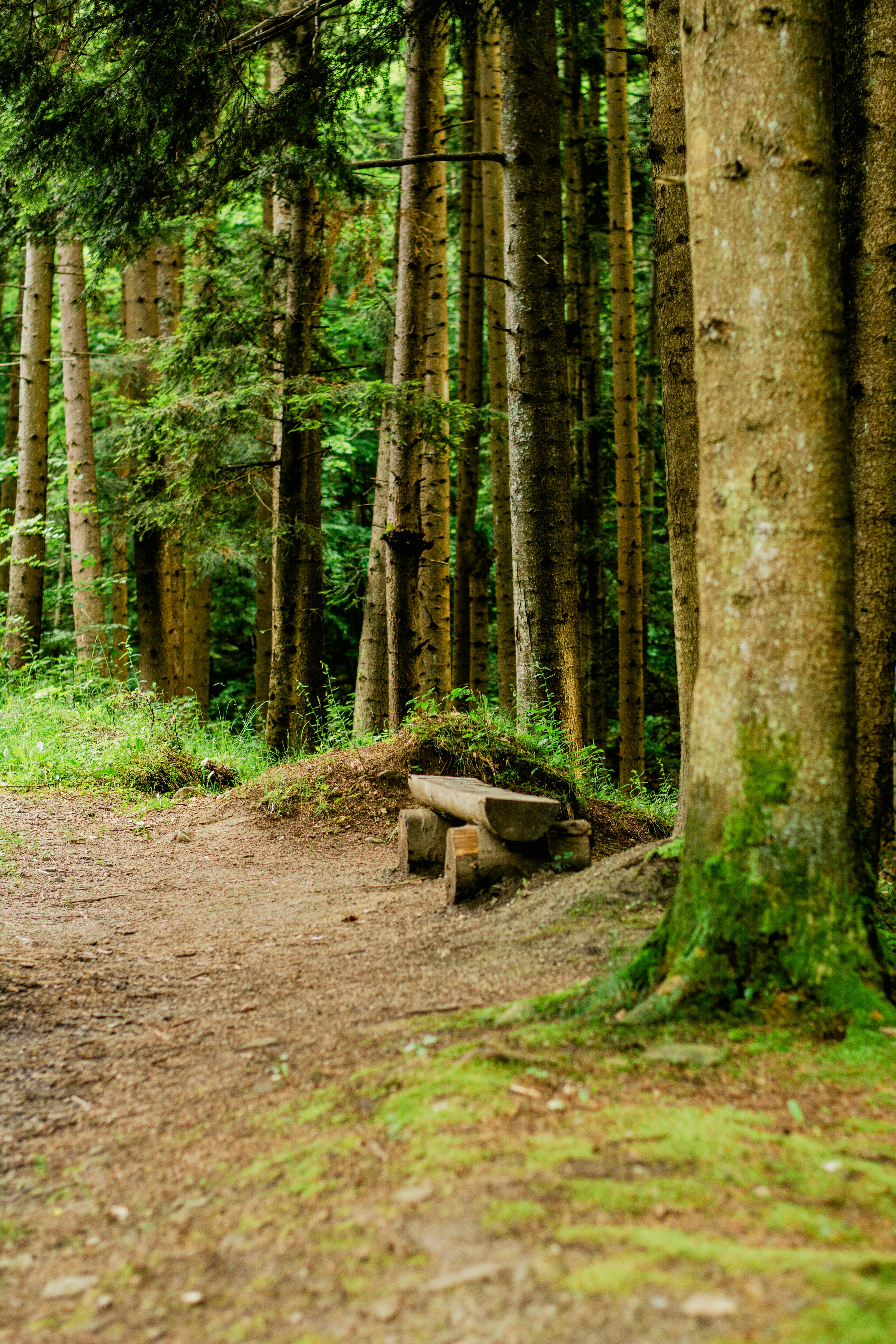 Photo by eugenivy_now