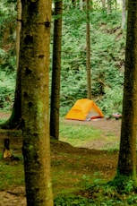 a tent is pitched up in the woods