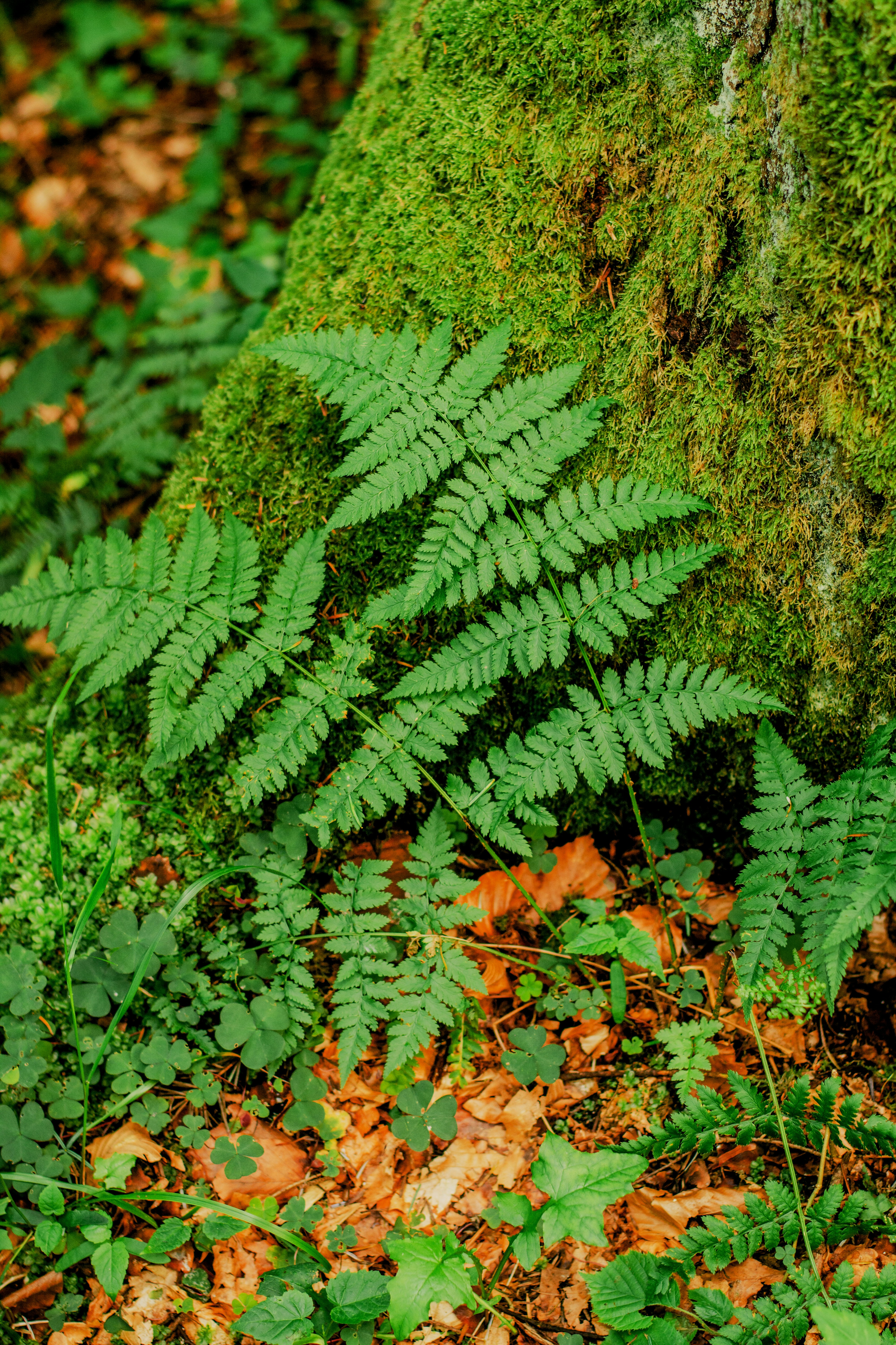 Photo by eugenivy_now