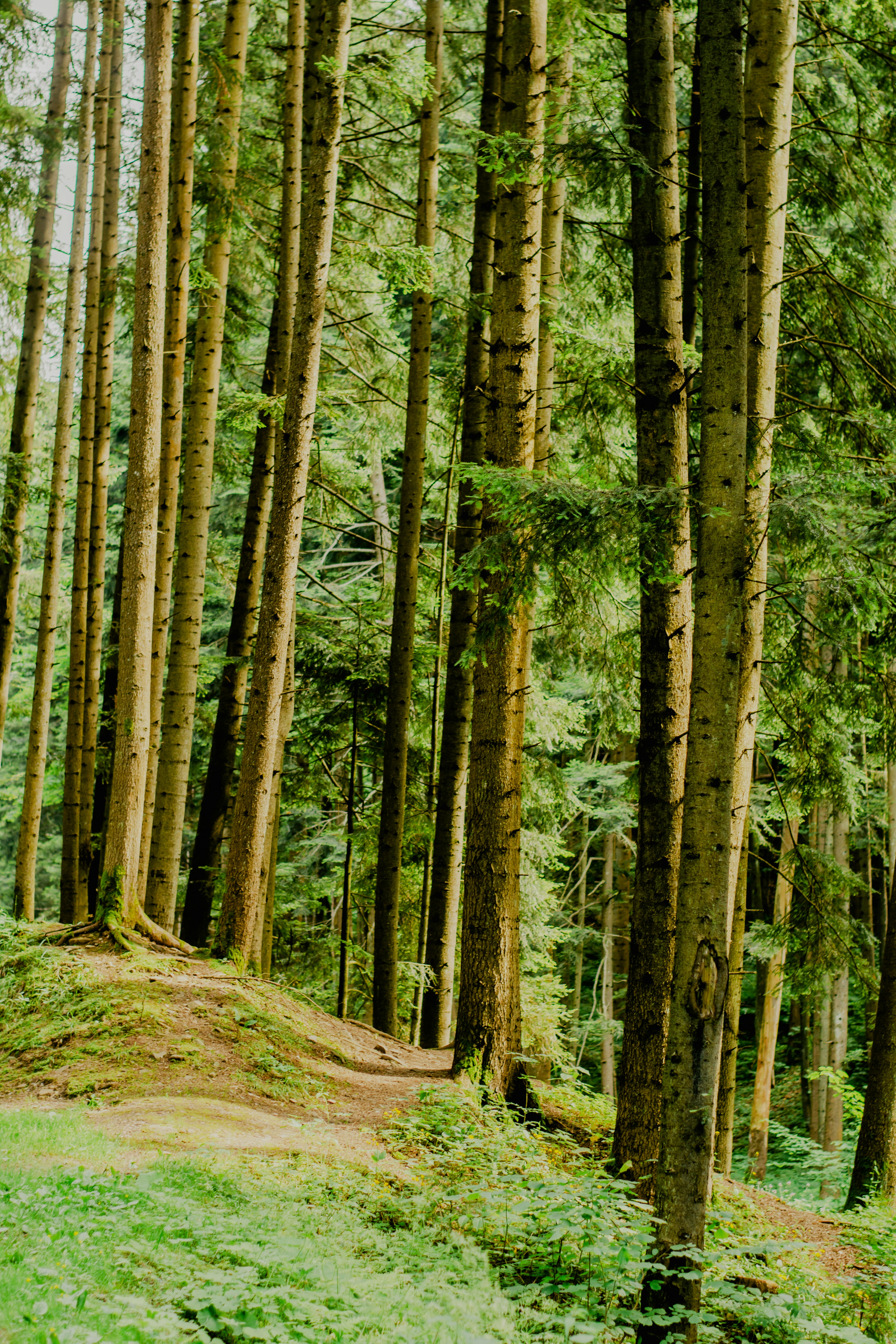 Photo by eugenivy_now