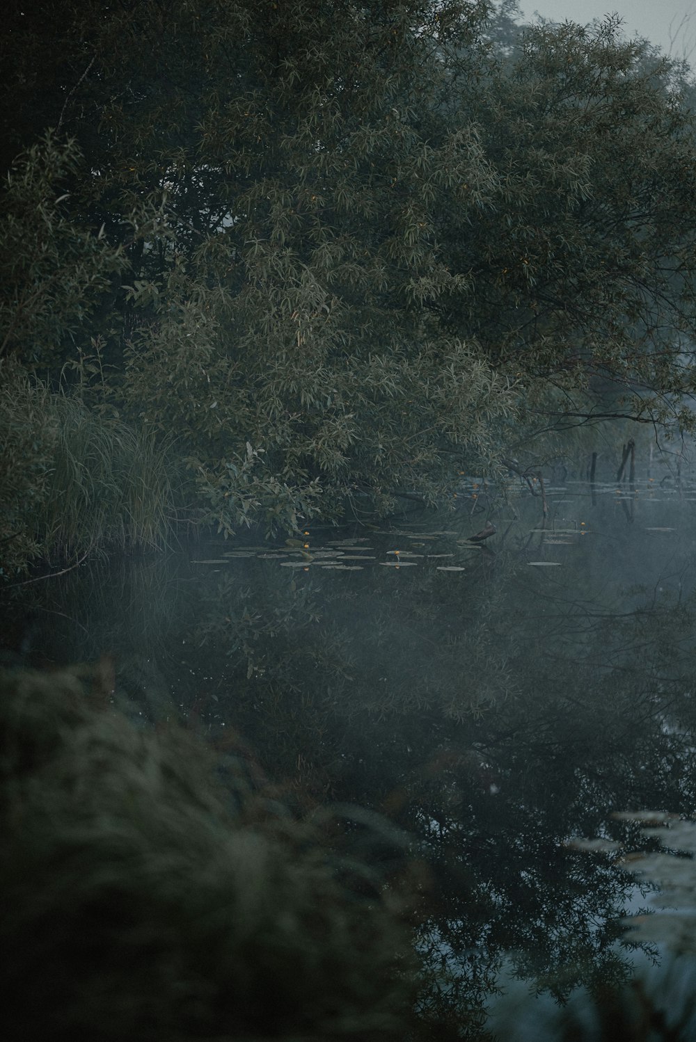 a boat floating on top of a river next to a forest