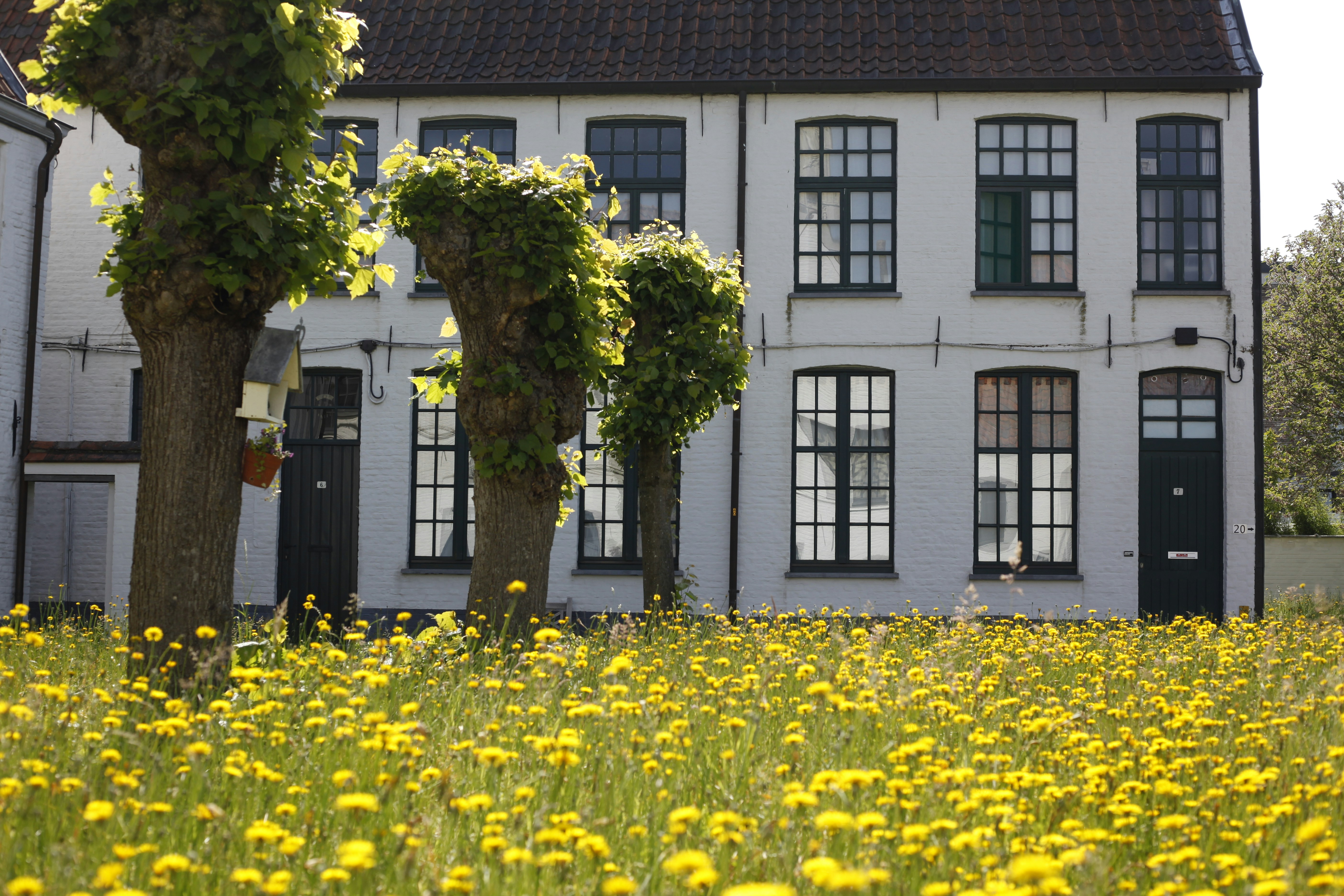 B&B 't Hannonshof