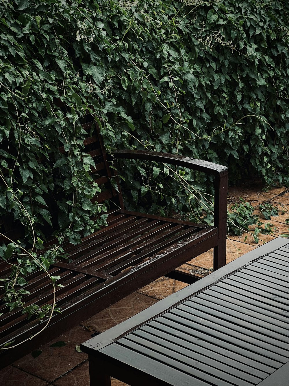 a wooden bench sitting next to a lush green hedge