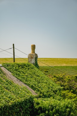 Friendly technician answering a service call with a background of a Texas Hill Country home.