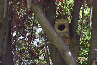 A close-up of a charming wooden birdhouse nestled among green leaves with a small bird perched at its entrance.