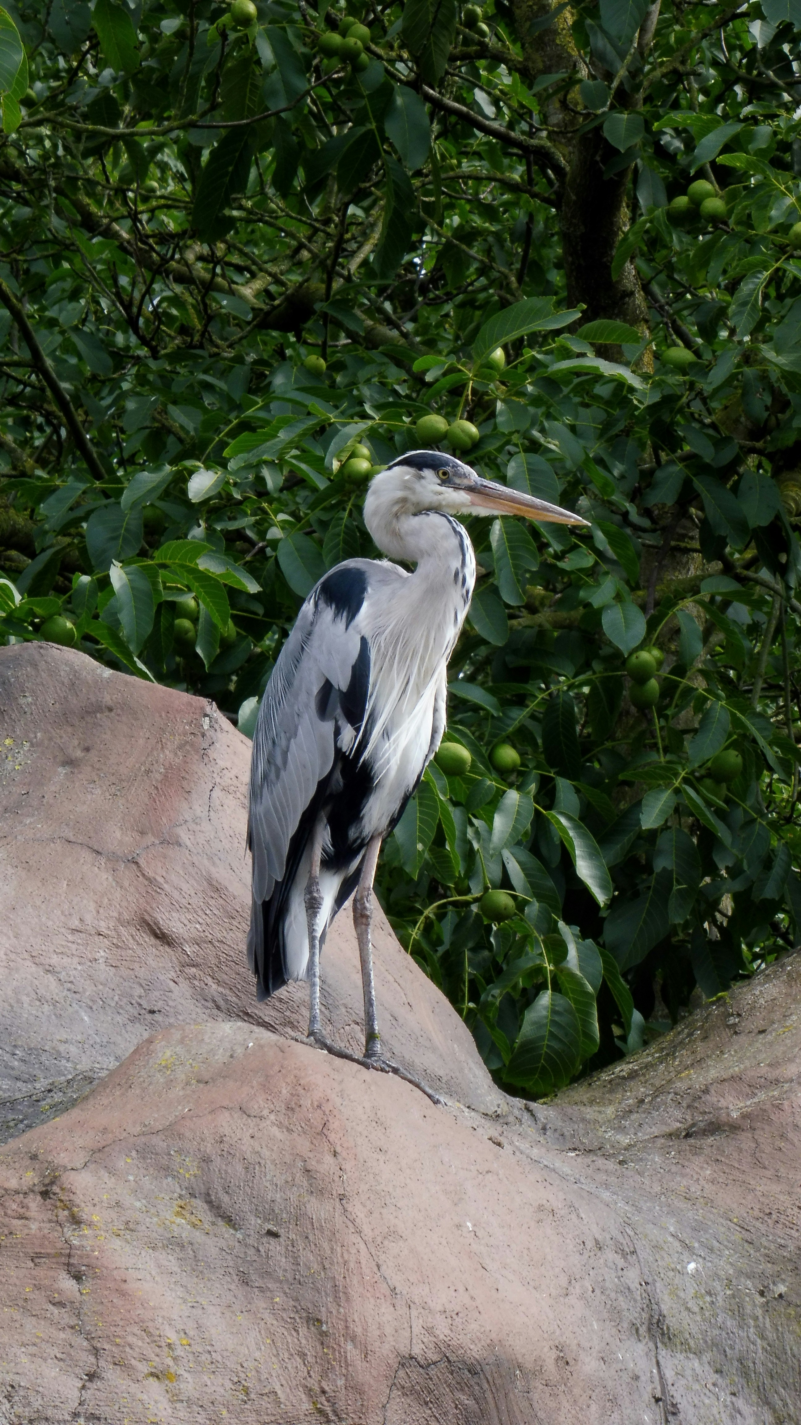 Photo by kccreations