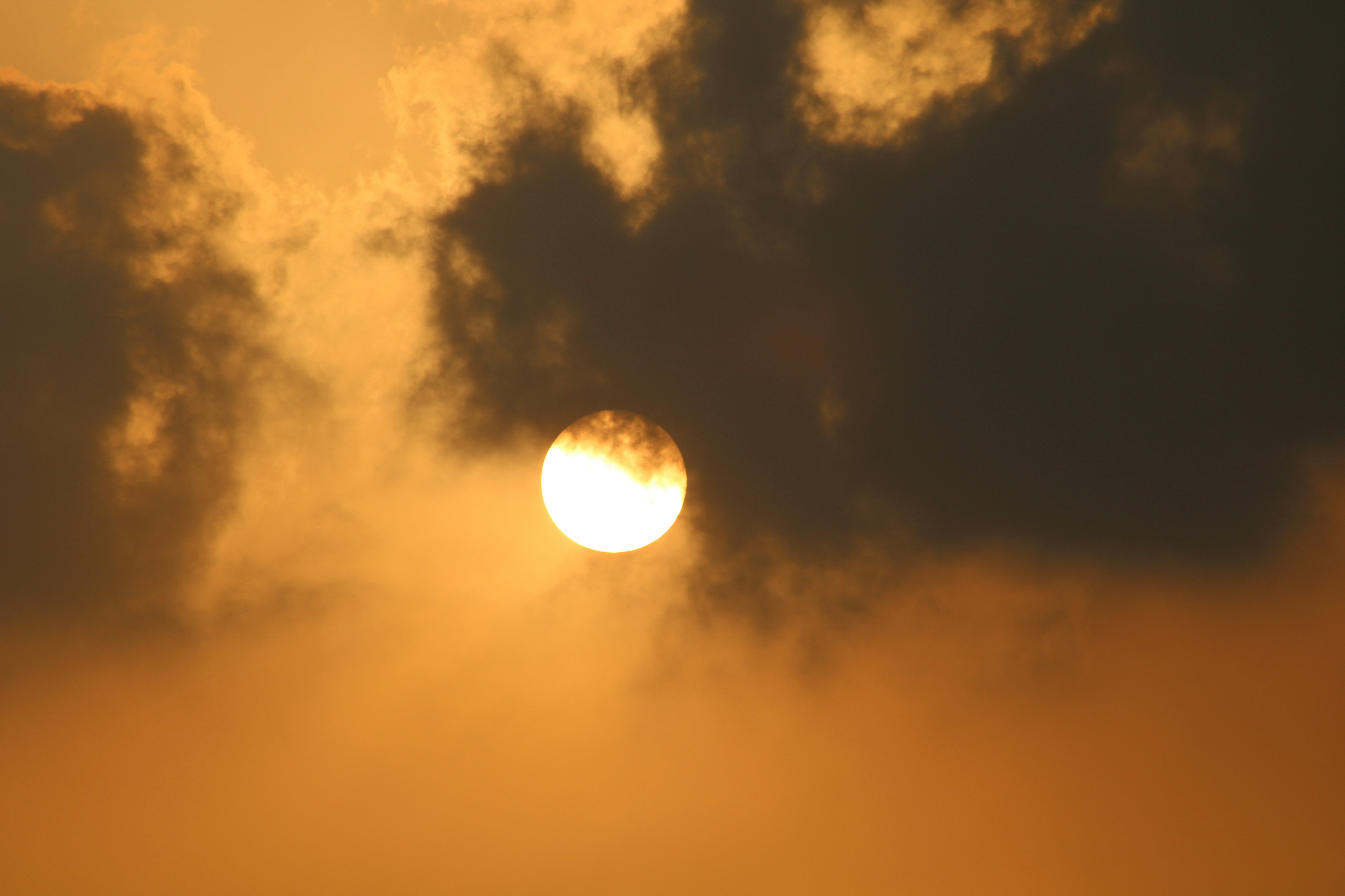 Photo by photoloveramico