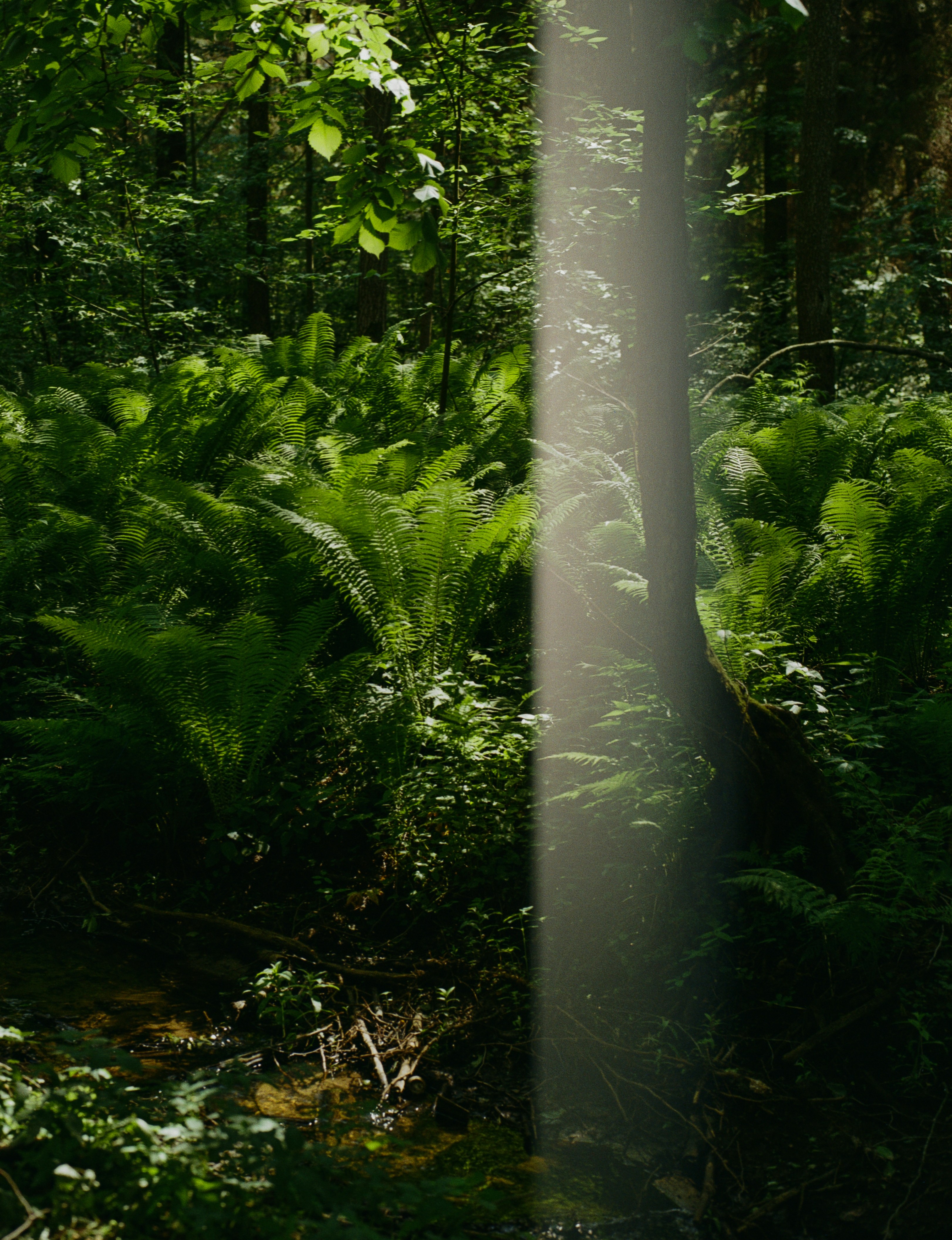 Photo by evil_bumblebee