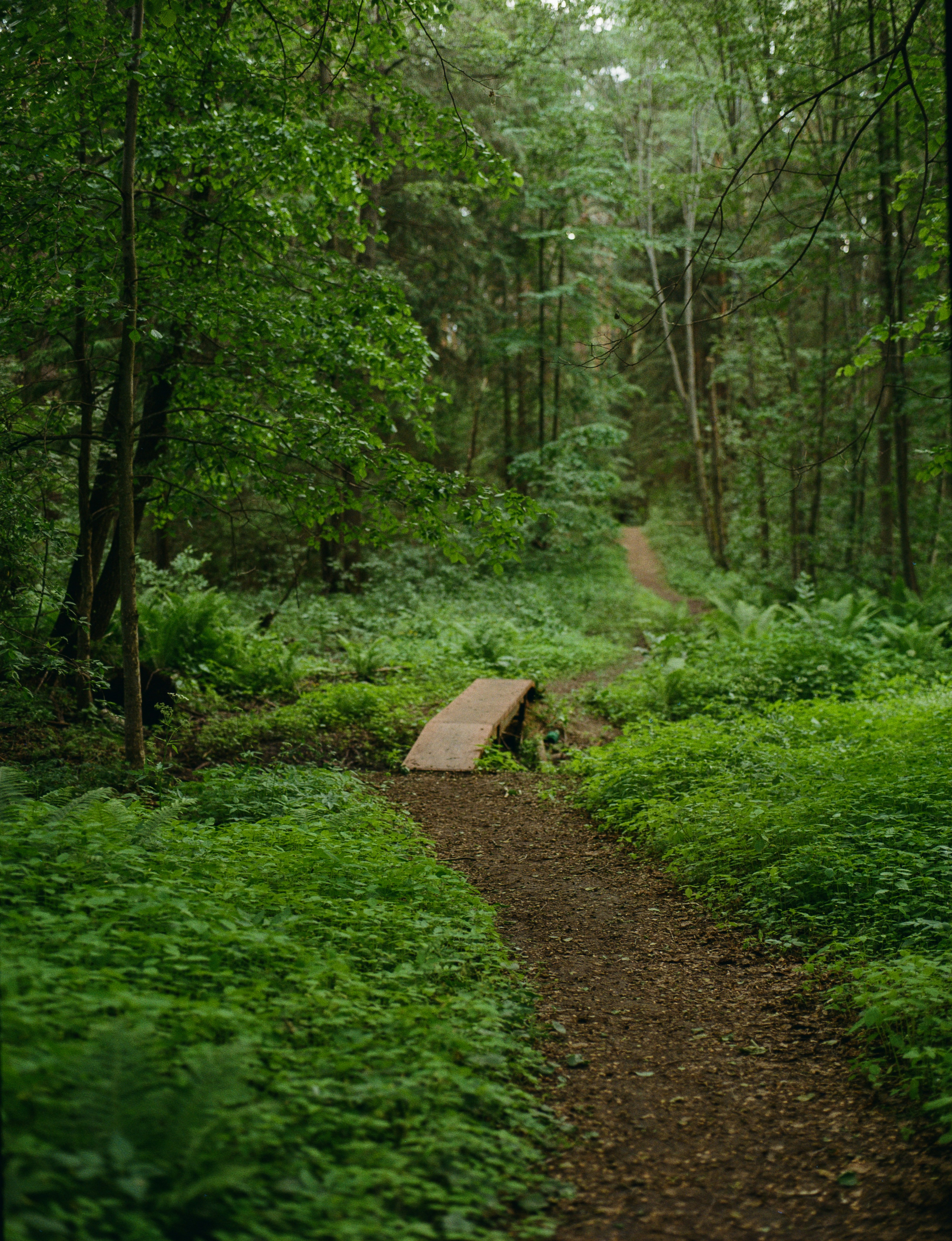 Photo by evil_bumblebee