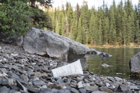 A rocky shoreline next to a body of water with a dense forest of evergreens in the background. A single tube of skincare product lies on the ground among the stones, giving a sense of nature meeting beauty products.