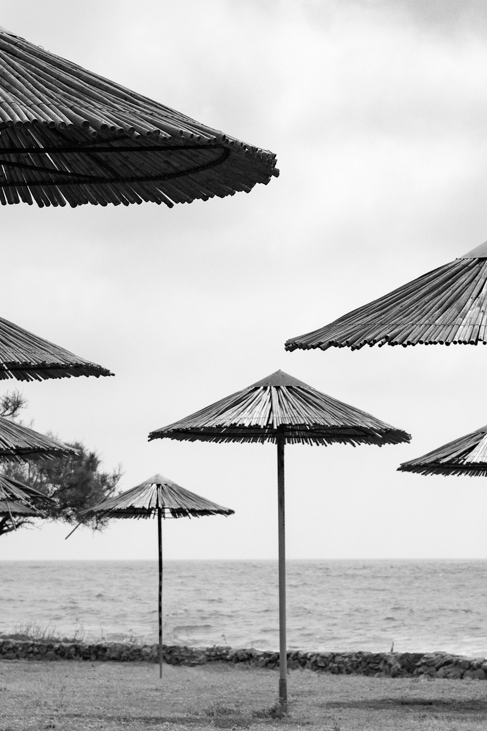 a bunch of umbrellas that are on a beach