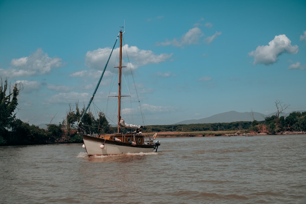 Un bateau navigue sur l’eau près du rivage