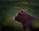 A brown cow is lying on a grassy field, bathed in warm natural light. The cow appears relaxed and calm, with its head slightly raised. The background consists of soft-focus greenery, creating a serene rural scene.