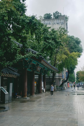 A traditional Korean-style gate with wooden beams and a tiled roof stands amidst a modern urban environment. The street is wet, indicating recent rain. Several people walk along the sidewalk, with two pigeons visible on the wet pavement. Lush green trees and a large building with signage in Korean characters are in the background.