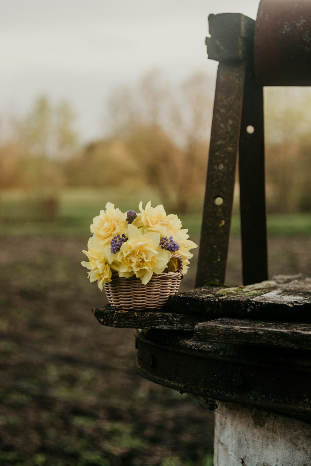 a basket filled with yellow flowers sitting on top of a wooden bench