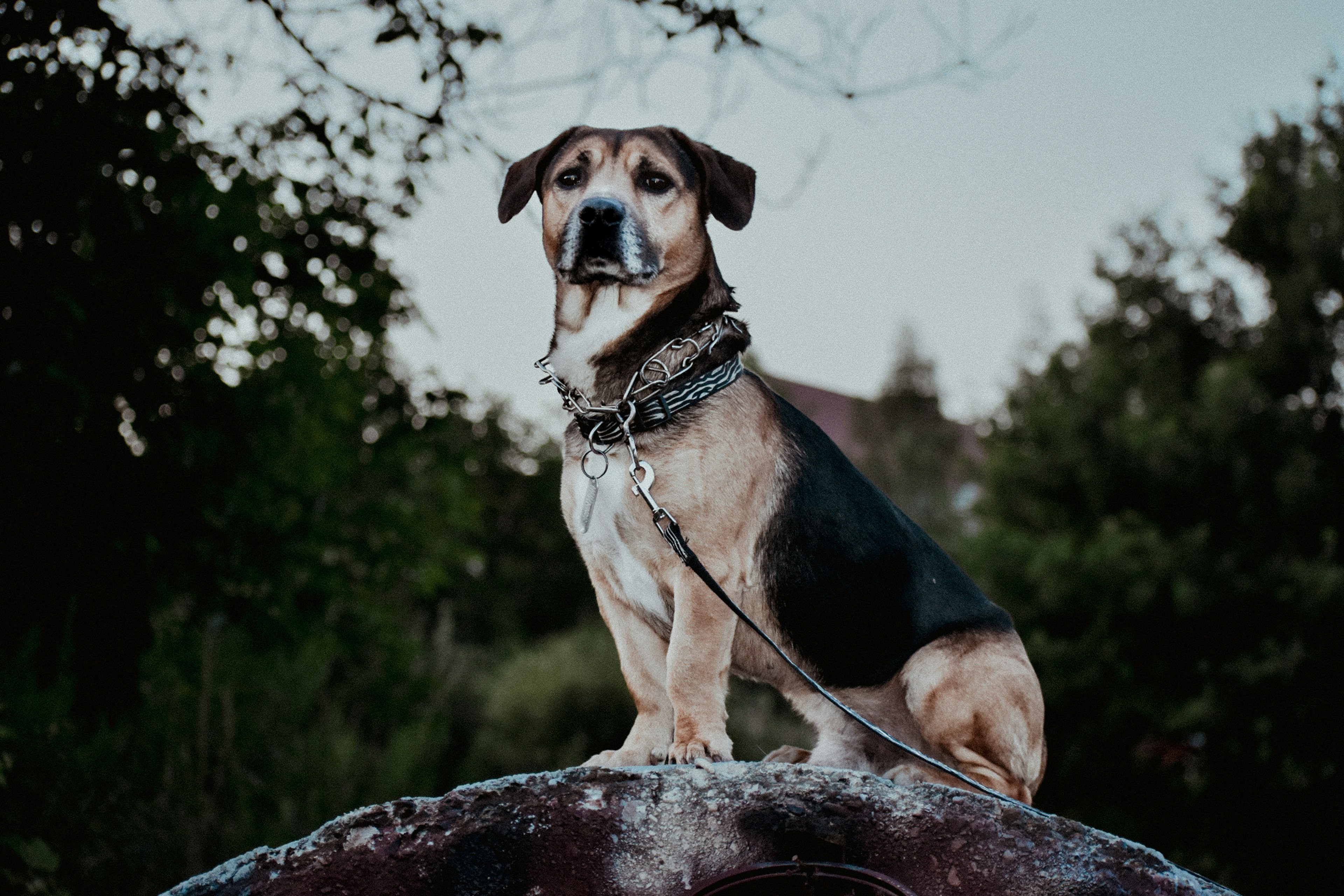 Photo by colorful_jelly