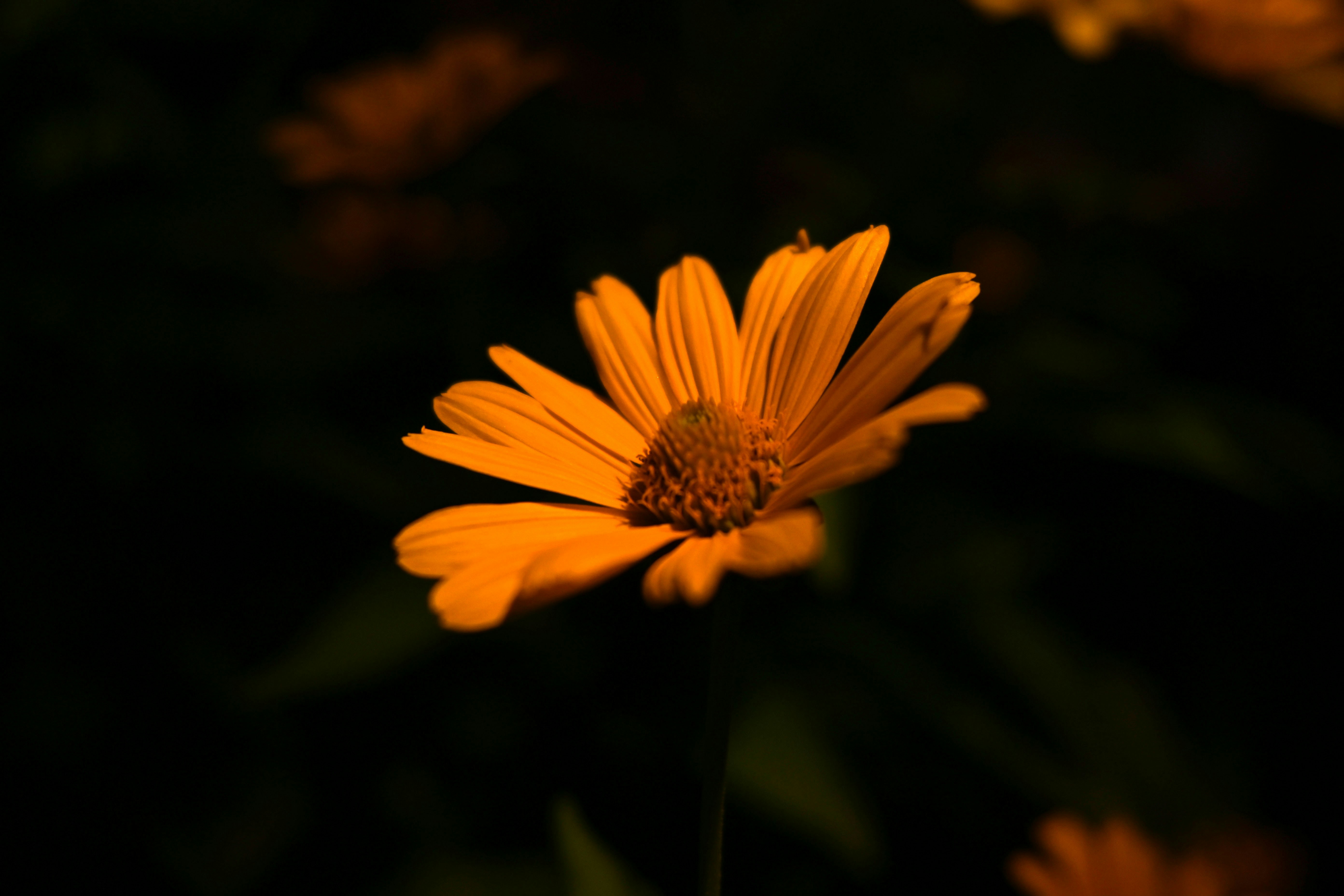 Photo by kinferiority