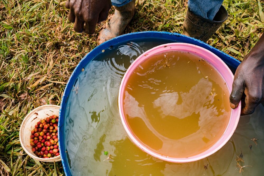 Water Bucket Pictures  Download Free Images on Unsplash