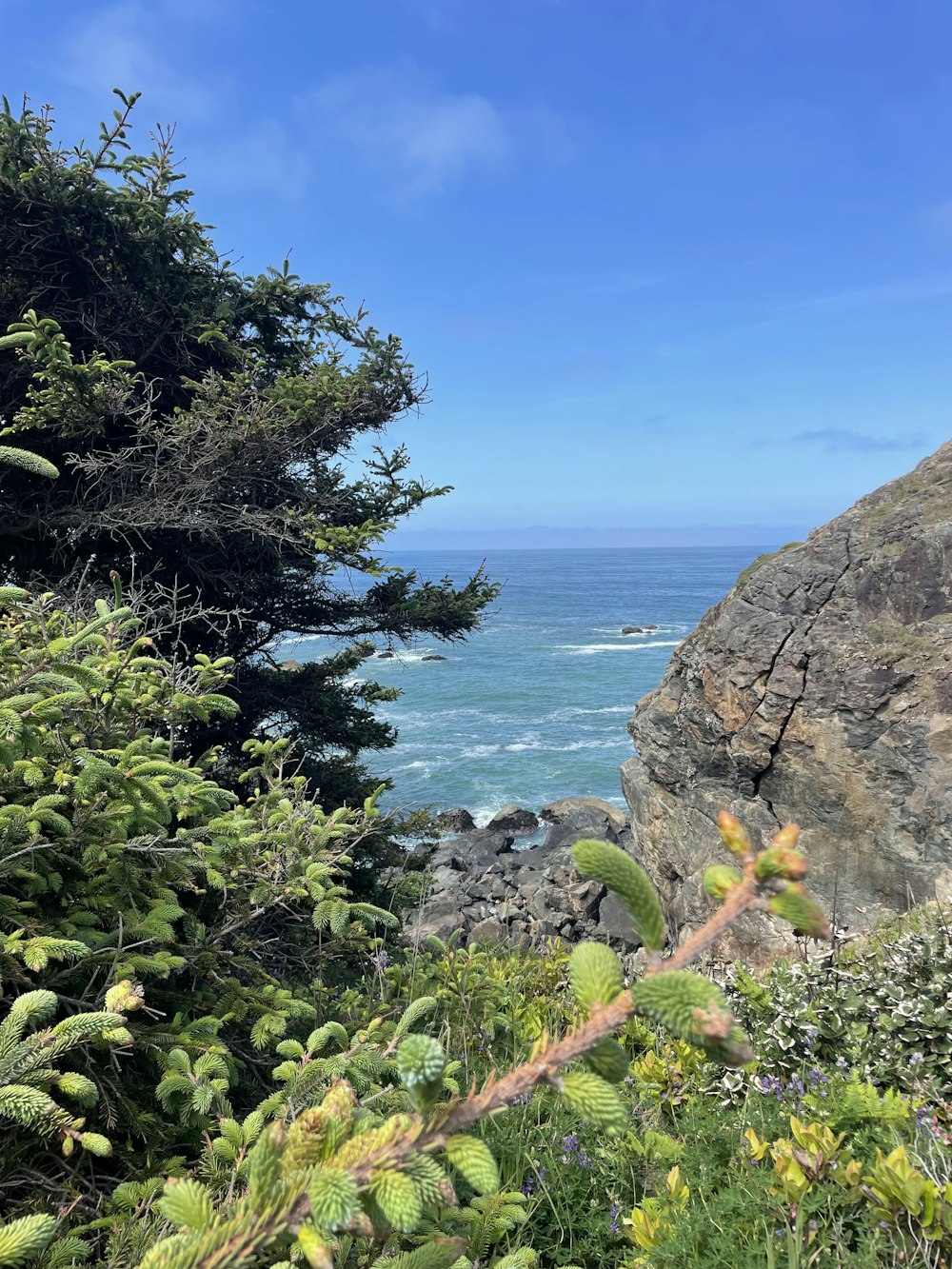 a view of the ocean from the top of a hill