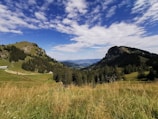 A scenic view of eastern Tennessee's lush countryside.