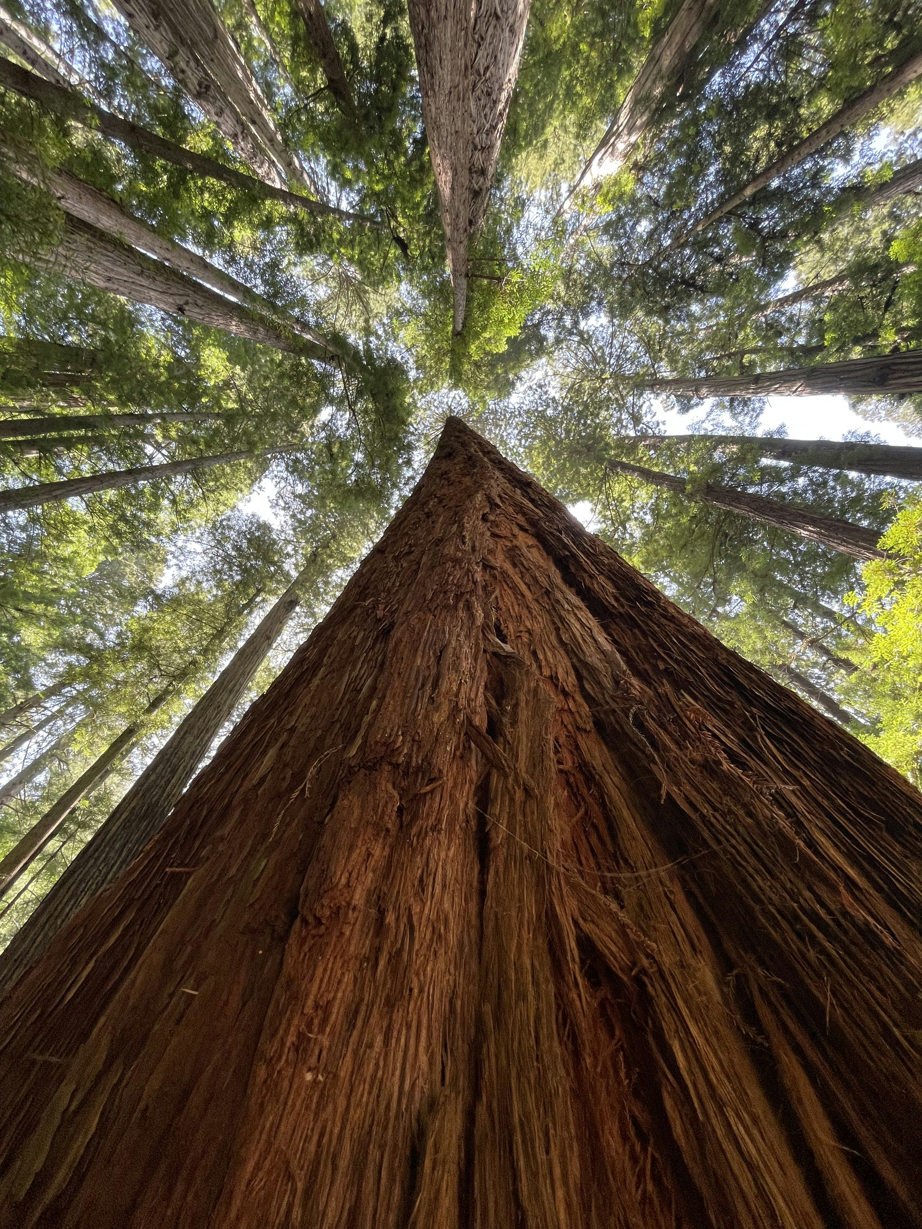 Photo by cestmoisheedy