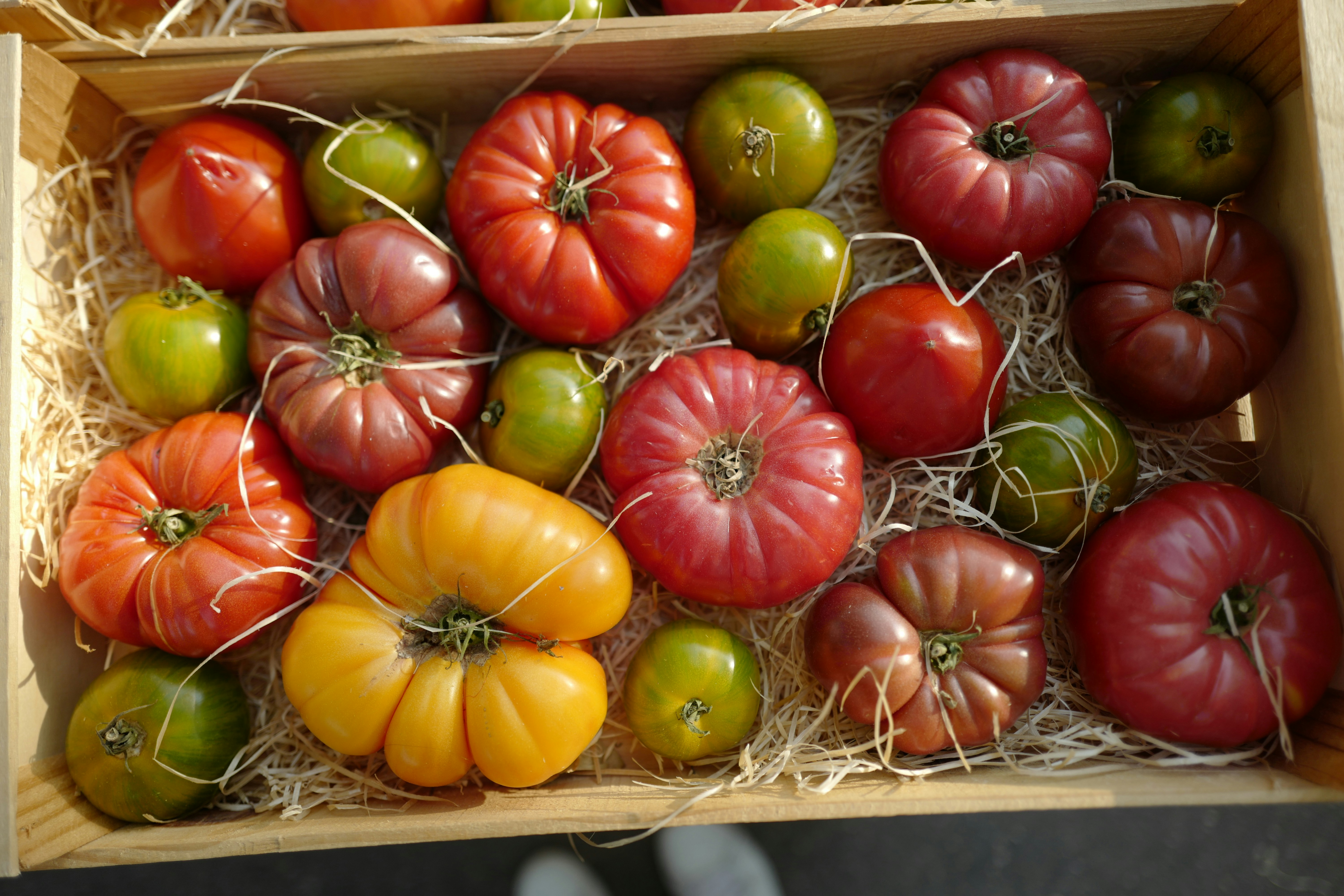 Photo by pukhalskaya_olga