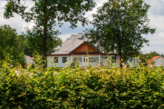 Cozy newly built house surrounded by greenery on a sunny day.