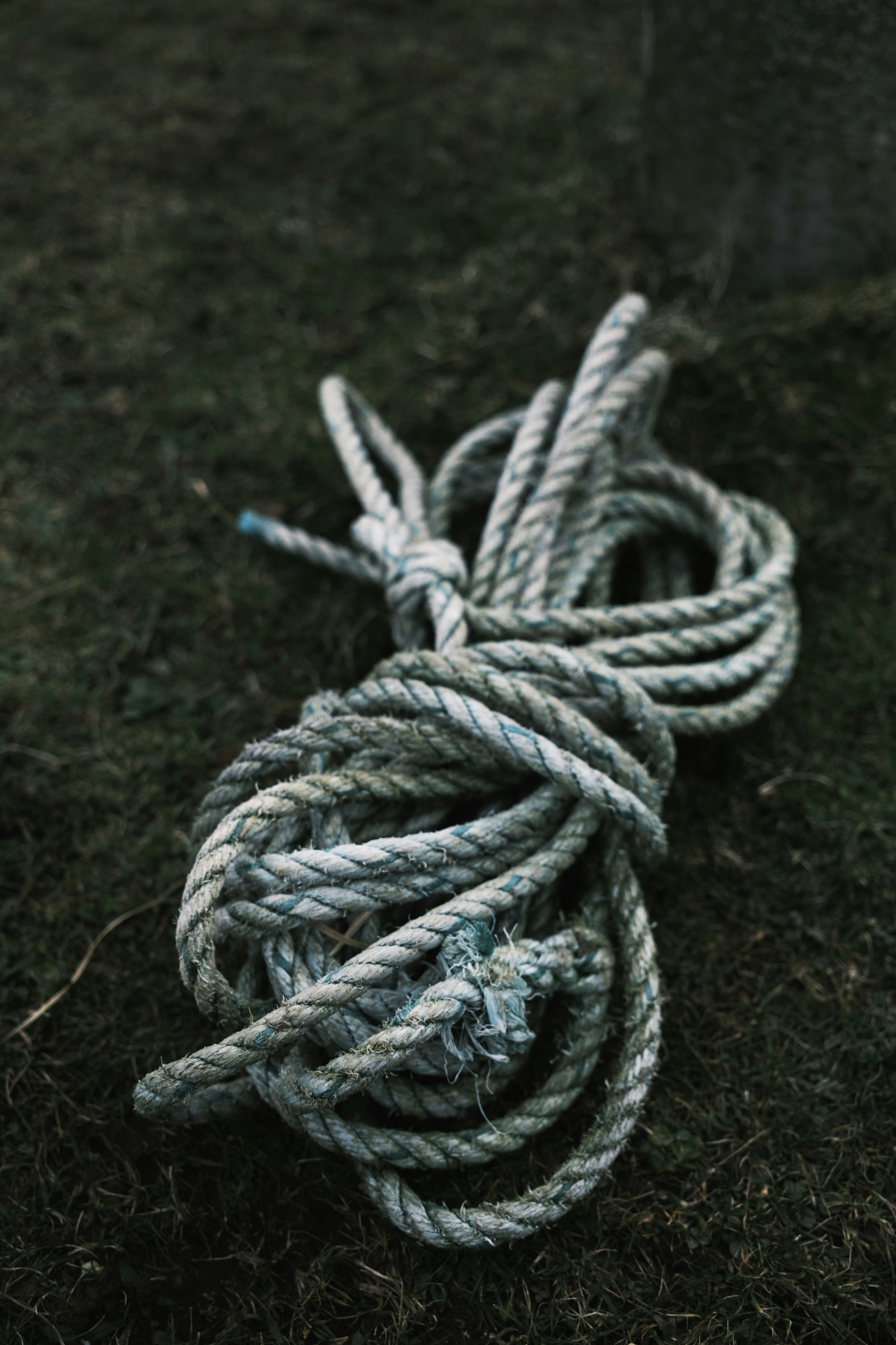 A rope that is laying on the ground photo – Free Rope Image on Unsplash