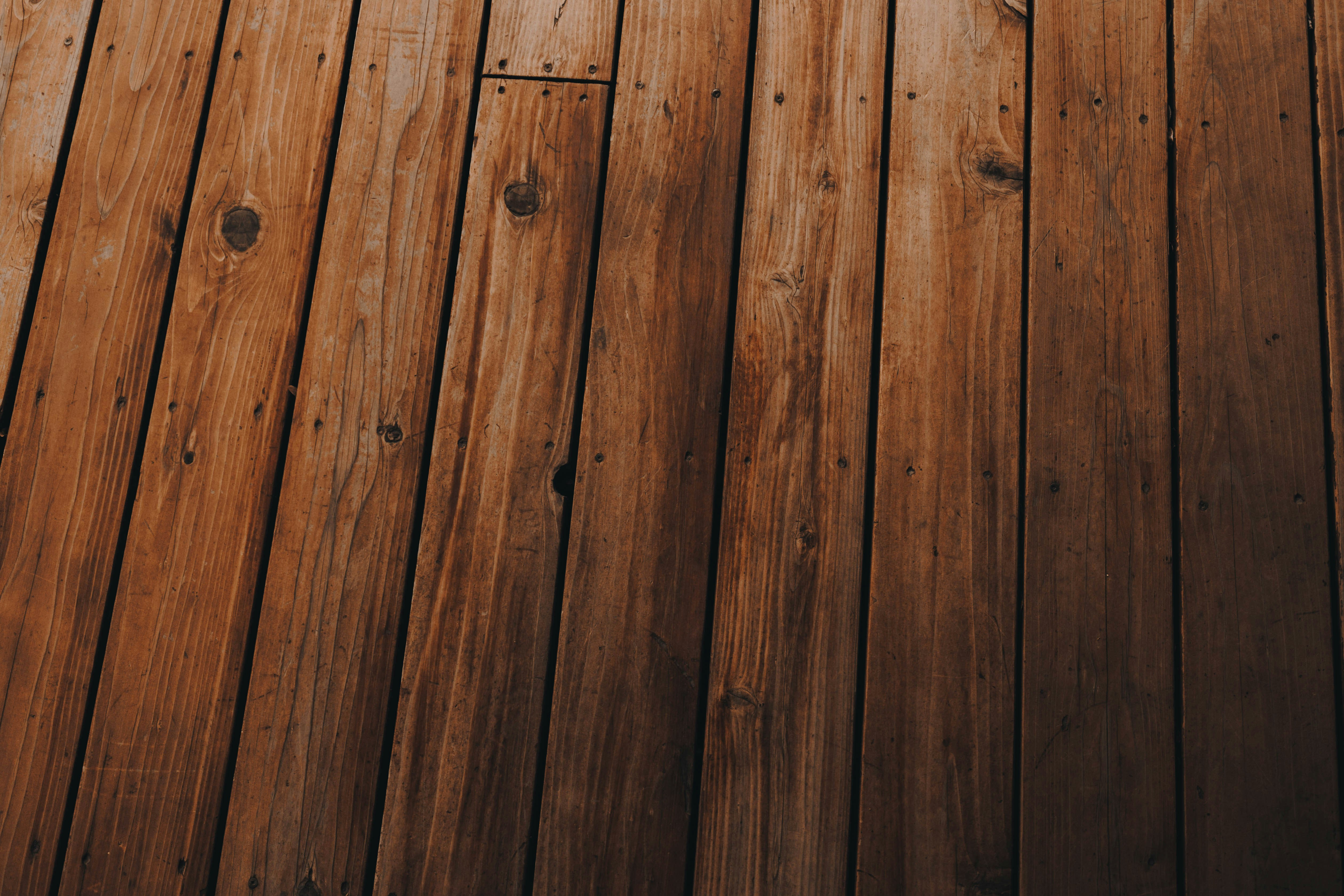 Photo by jeffersonsees