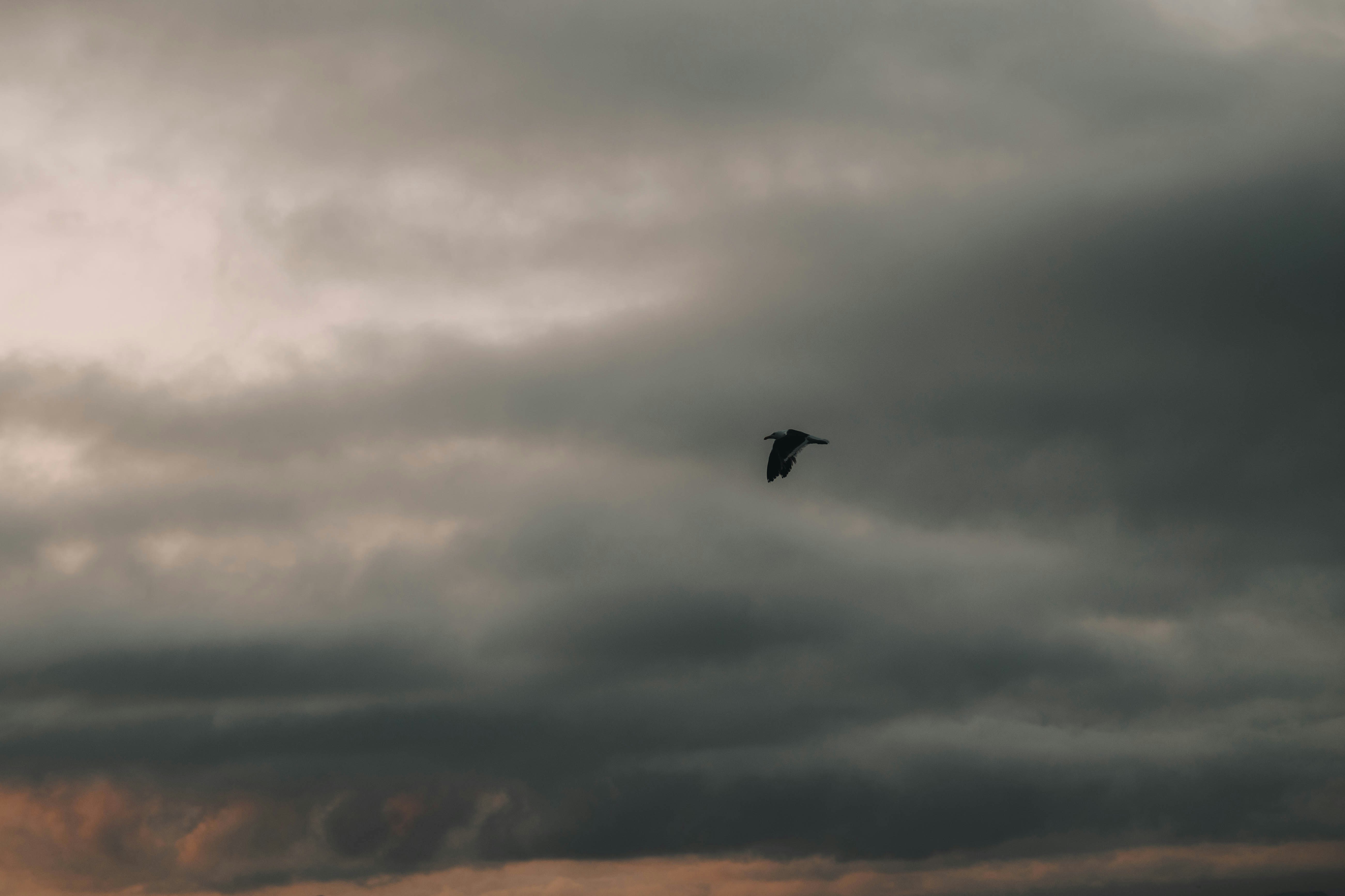 Photo by jeffersonsees