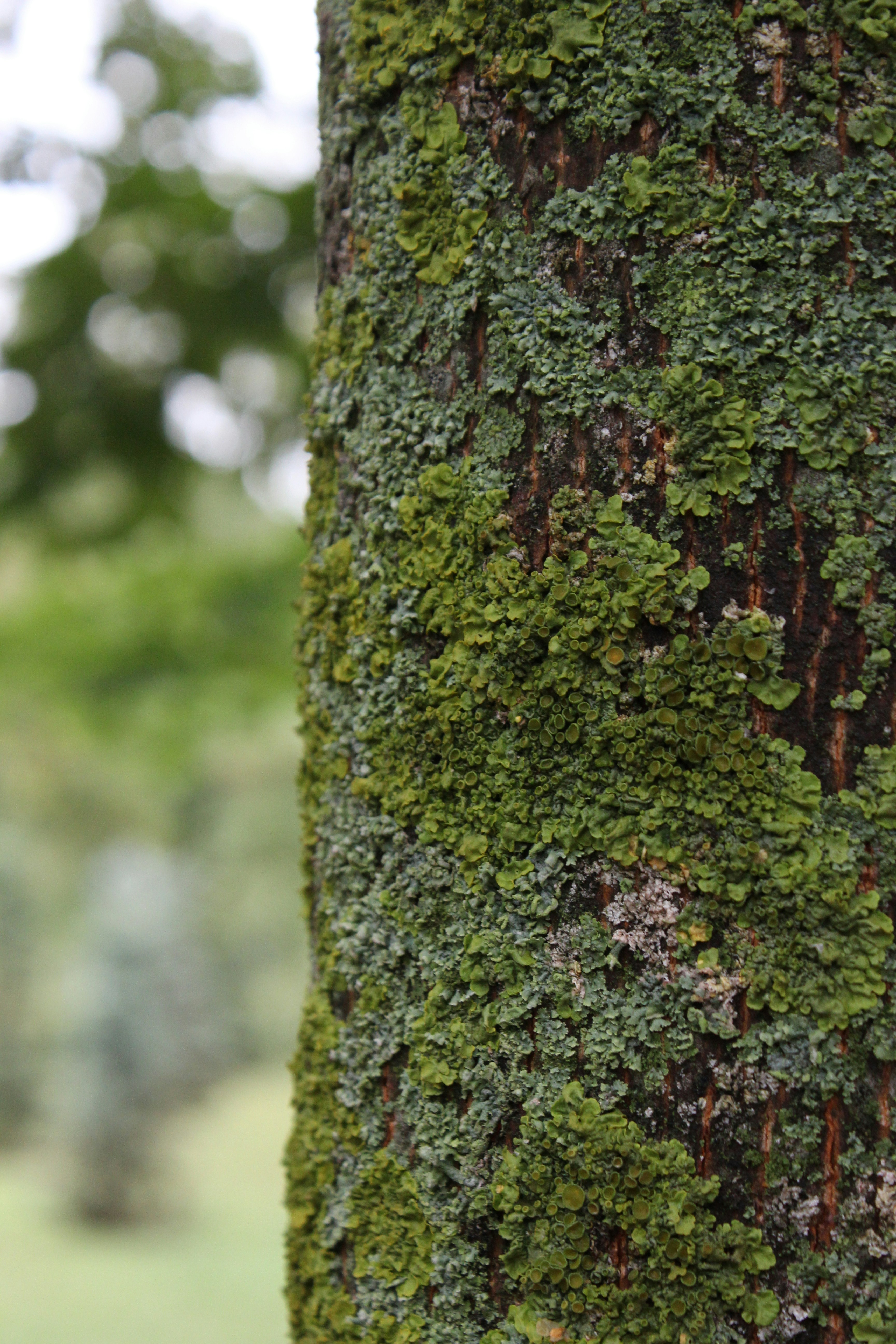 Photo by semochka_21