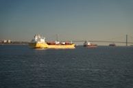 A large yellow cargo ship labeled 'Stolt Tankers' is prominent in the foreground, sailing on a calm sea. Several other cargo ships are visible in the background. A long suspension bridge spans across the horizon, below a clear sky. City buildings can be seen along the distant shoreline.