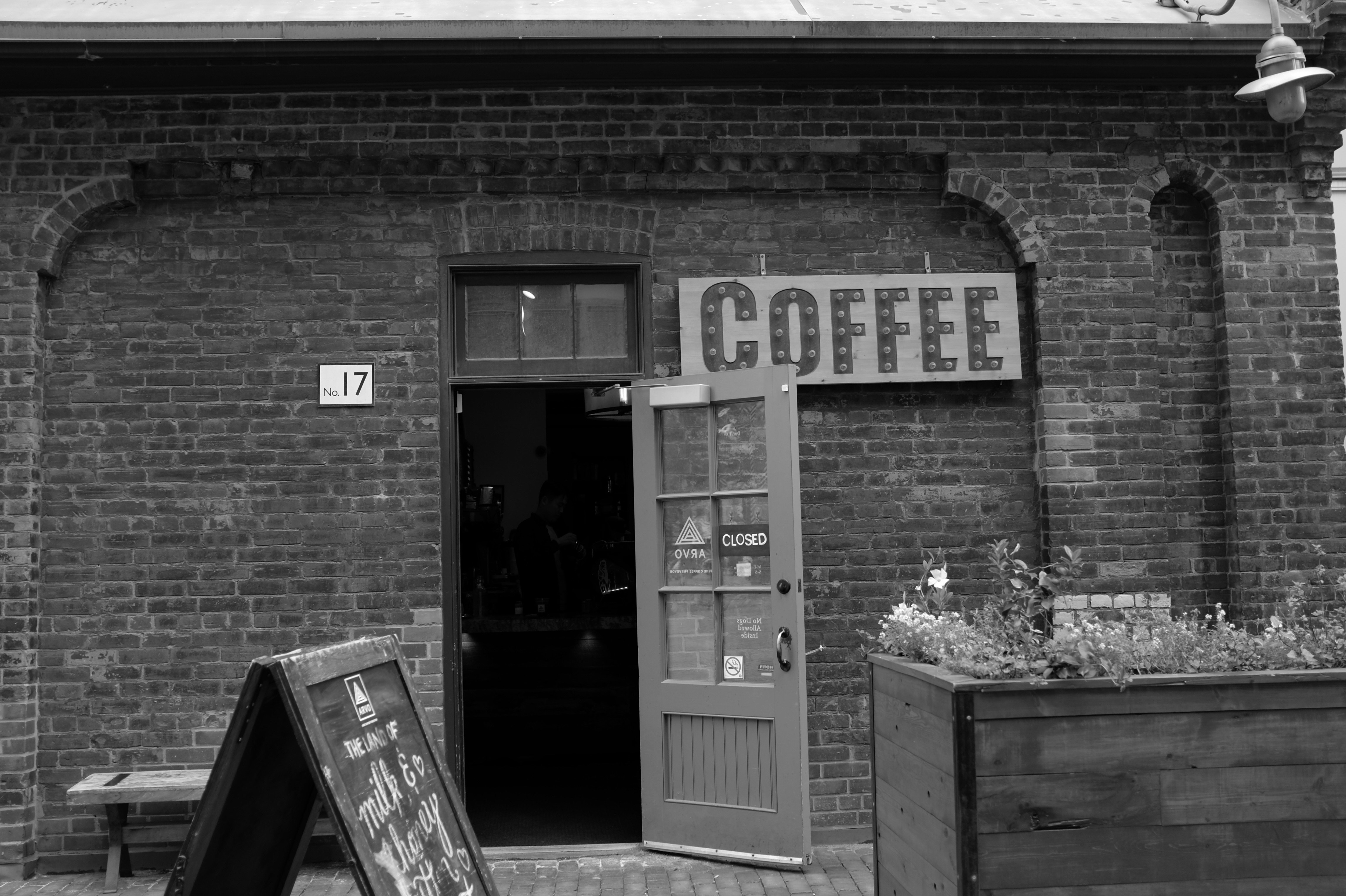 Lauren's Courtyard Coffee Shop