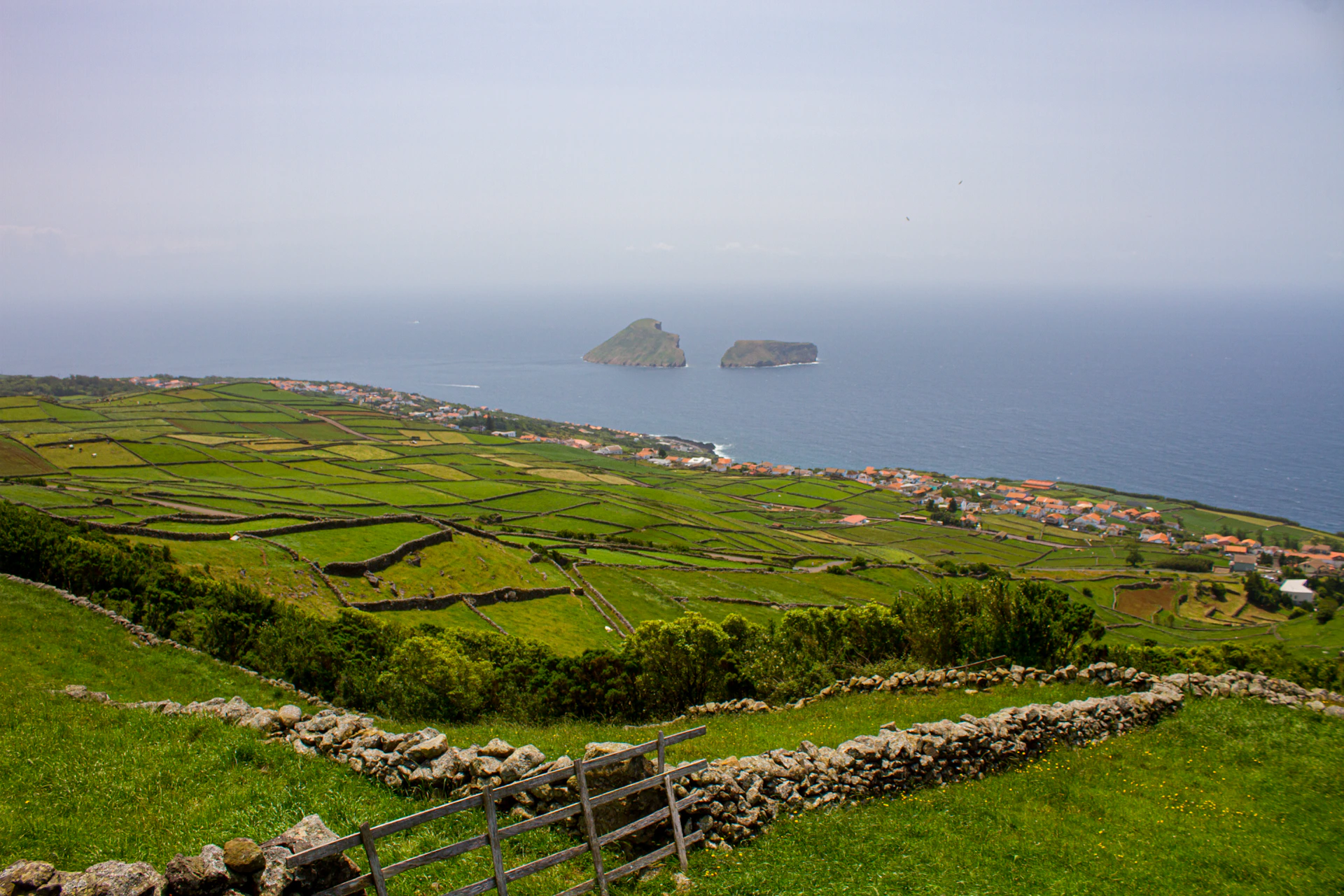 a lush green hillside next to a body of water