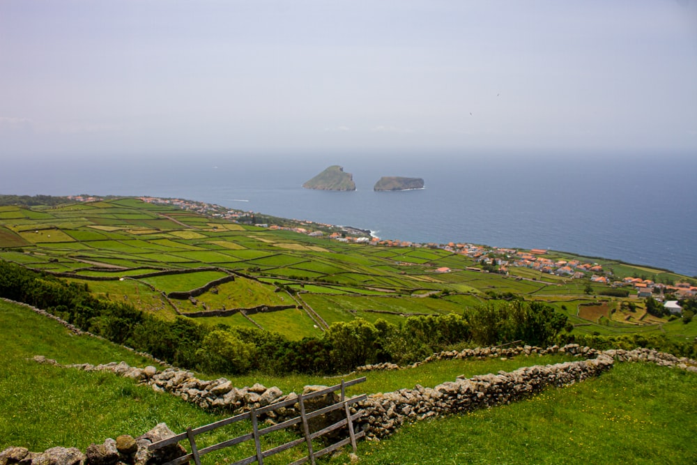 a lush green hillside next to a body of water