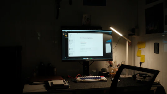 A professional consultant advising a small business owner on cybersecurity measures in a cozy office.