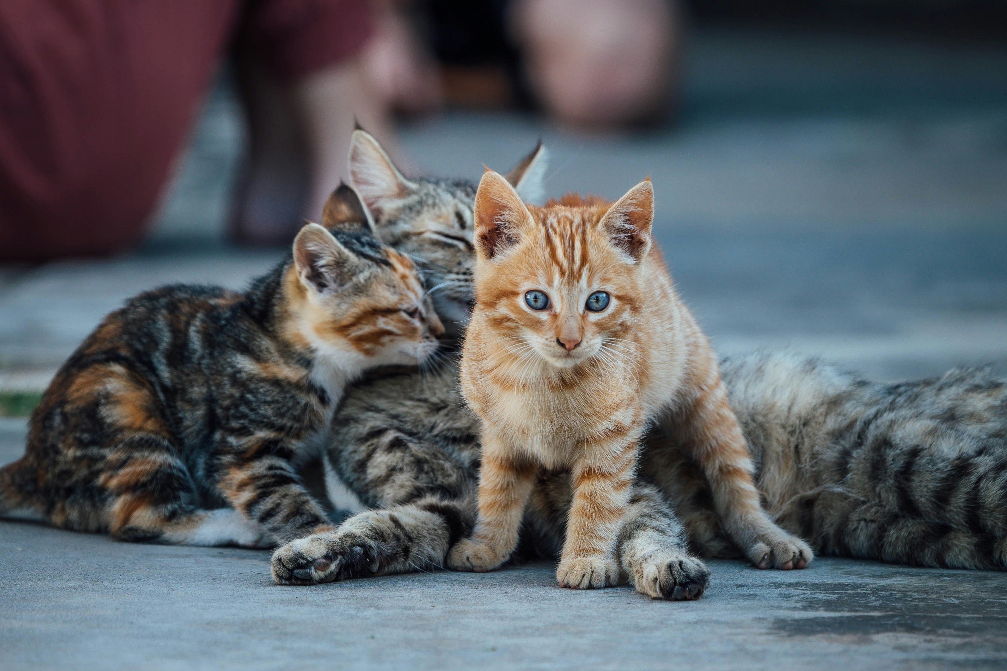 Photo by jeffersonsees