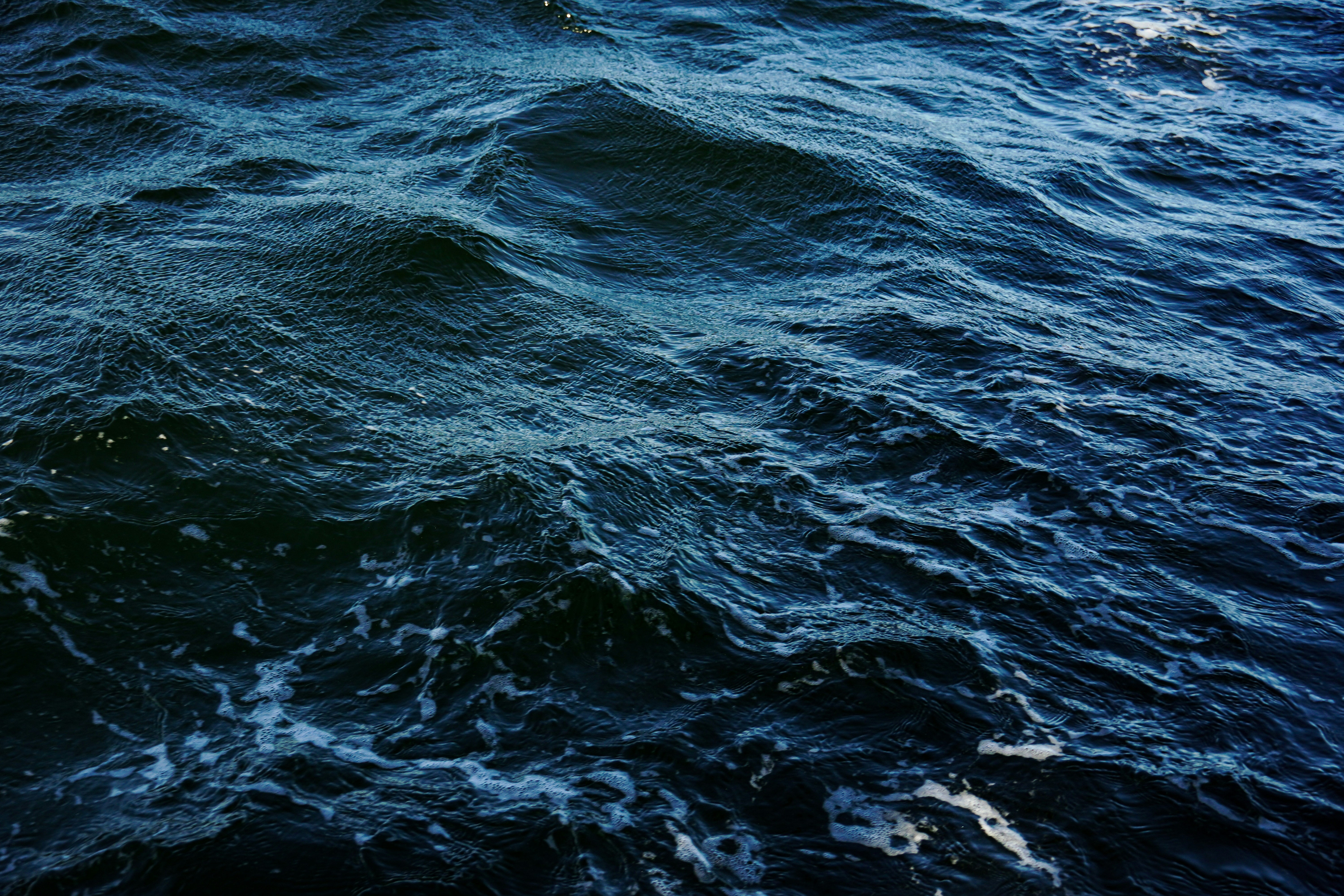 Photo by sarahspcreates