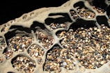 A textured rock formation cradles numerous small, multicolored pebbles within its intricate crevices. The surface features organic, honeycomb-like patterns that create a natural container for the varied stones, which range in hue from earthy browns and reds to muted blues and beige.
