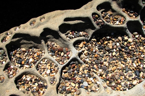 A textured rock formation cradles numerous small, multicolored pebbles within its intricate crevices. The surface features organic, honeycomb-like patterns that create a natural container for the varied stones, which range in hue from earthy browns and reds to muted blues and beige.
