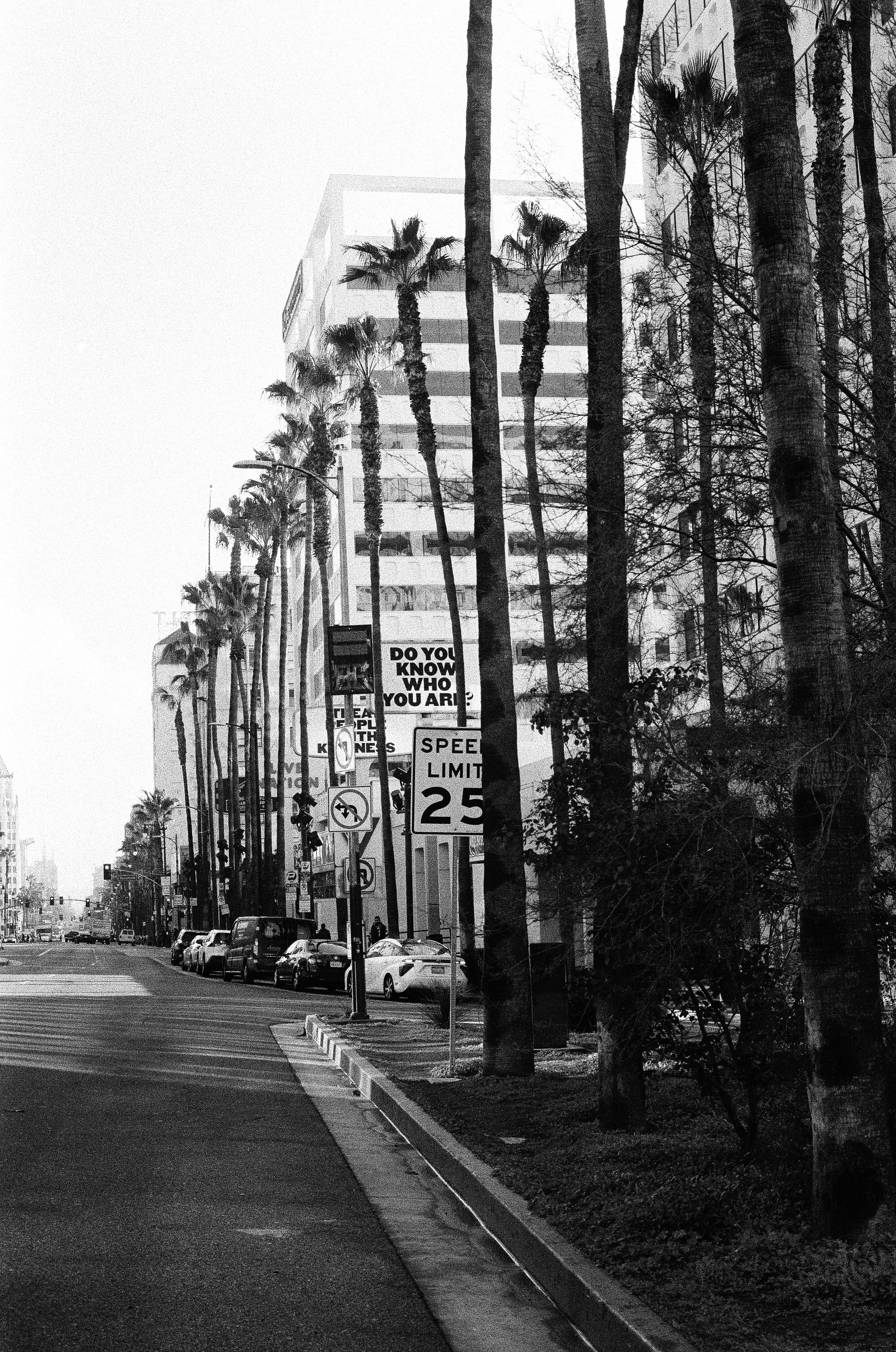 Photo by andresmorag