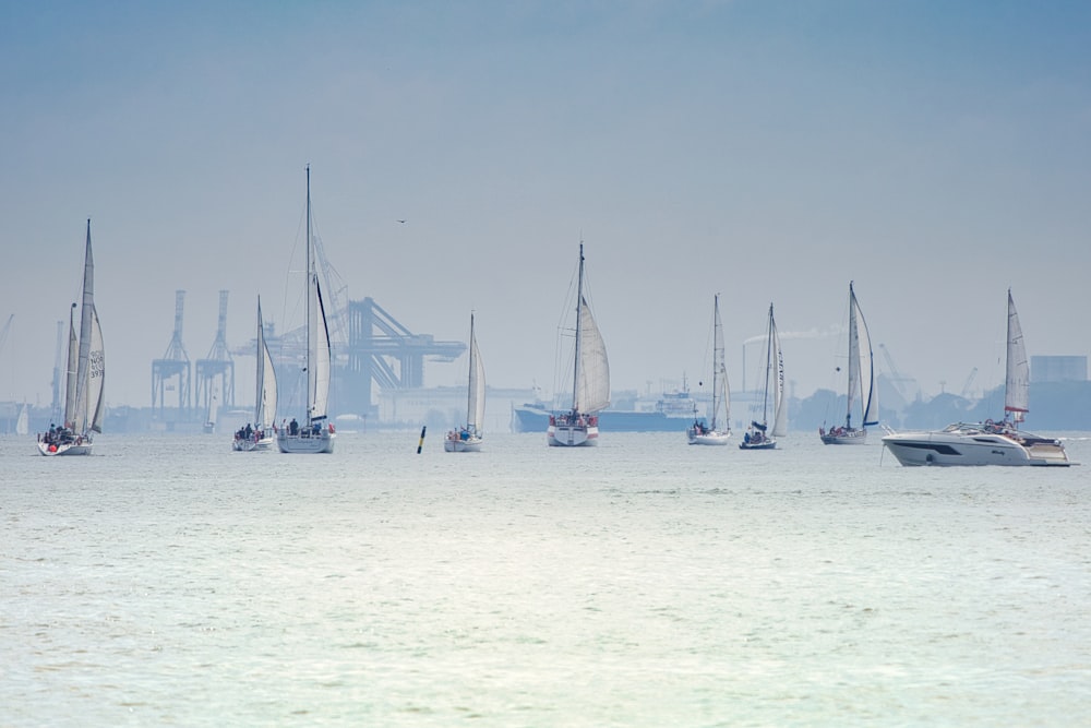 a group of sailboats sailing in a large body of water