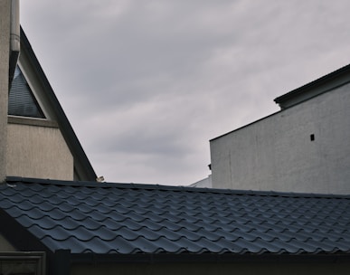 a bird is perched on the roof of a building