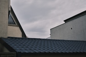 a bird is perched on the roof of a building