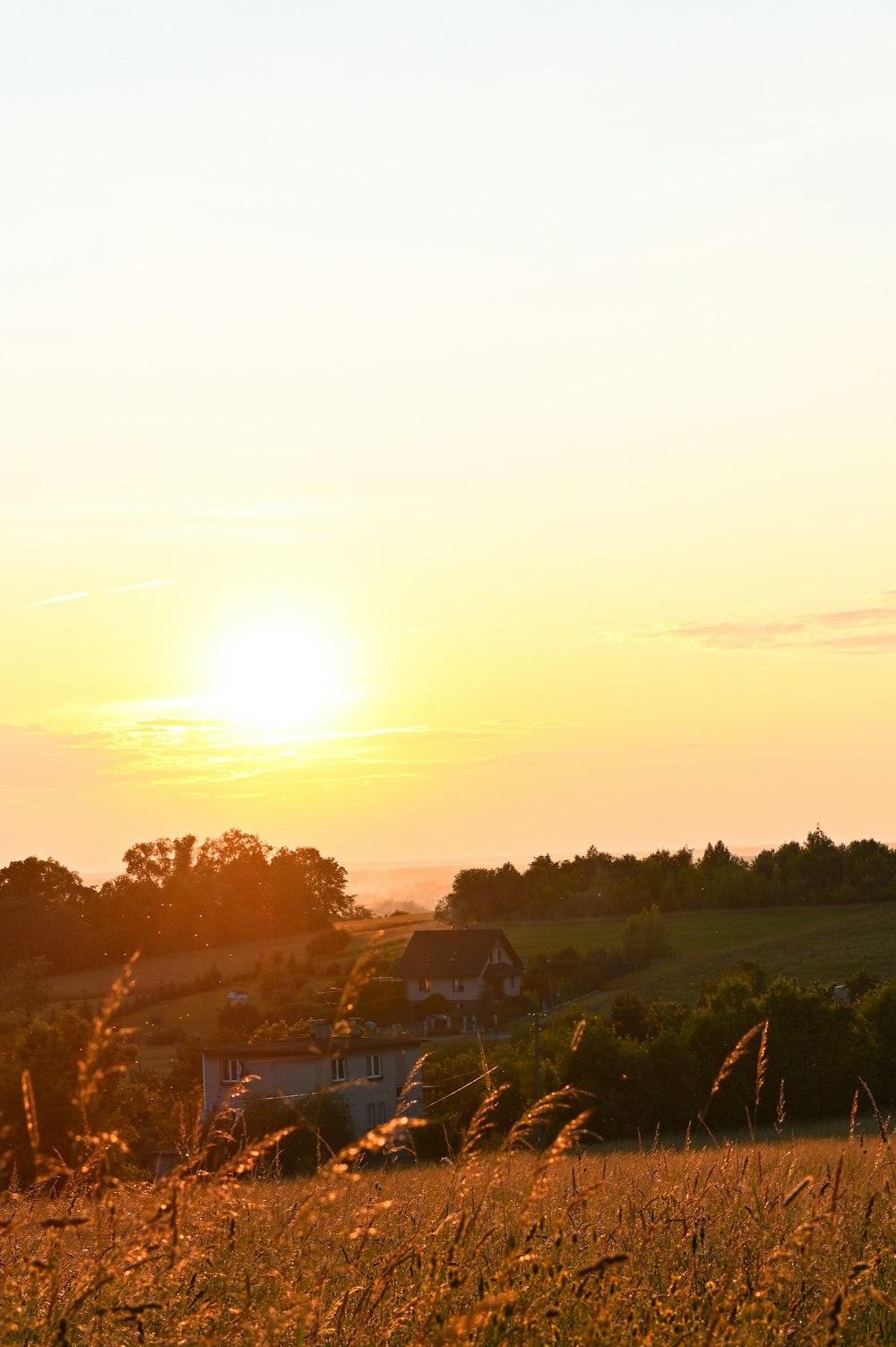 a horse standing in a field with the sun setting in the background