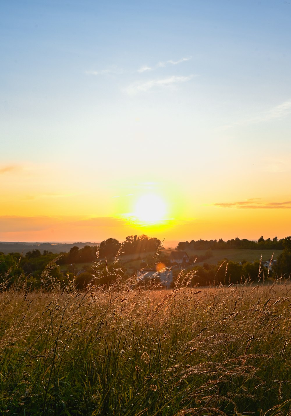 the sun is setting over a field of tall grass