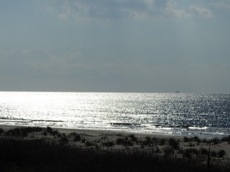 A serene beach scene with soft sand and scattered seashells reflecting sunlight.