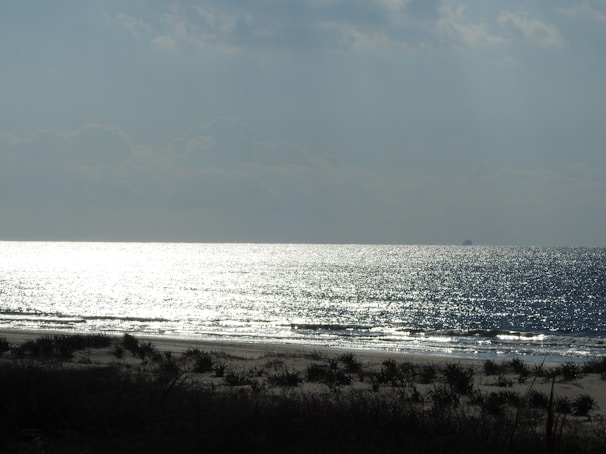 A serene beach scene with soft sand and scattered seashells reflecting sunlight.